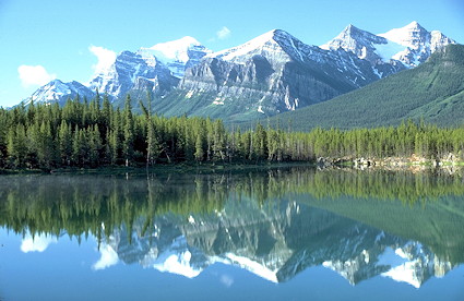 Bow Lake, Banff National park