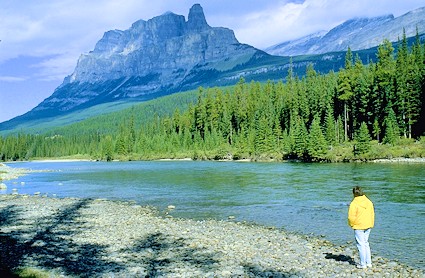 the Bow River, Banff National Park