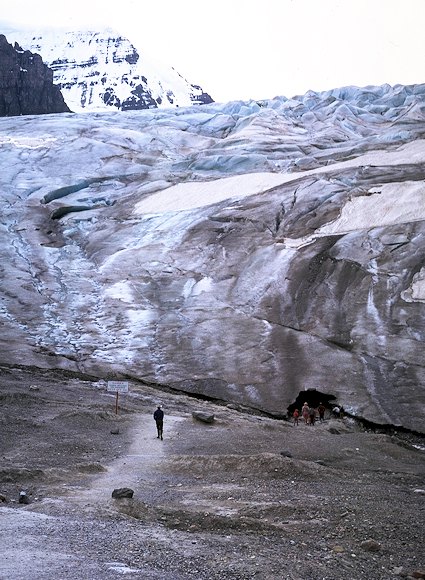 Toe of the Columbia Ice Fields
